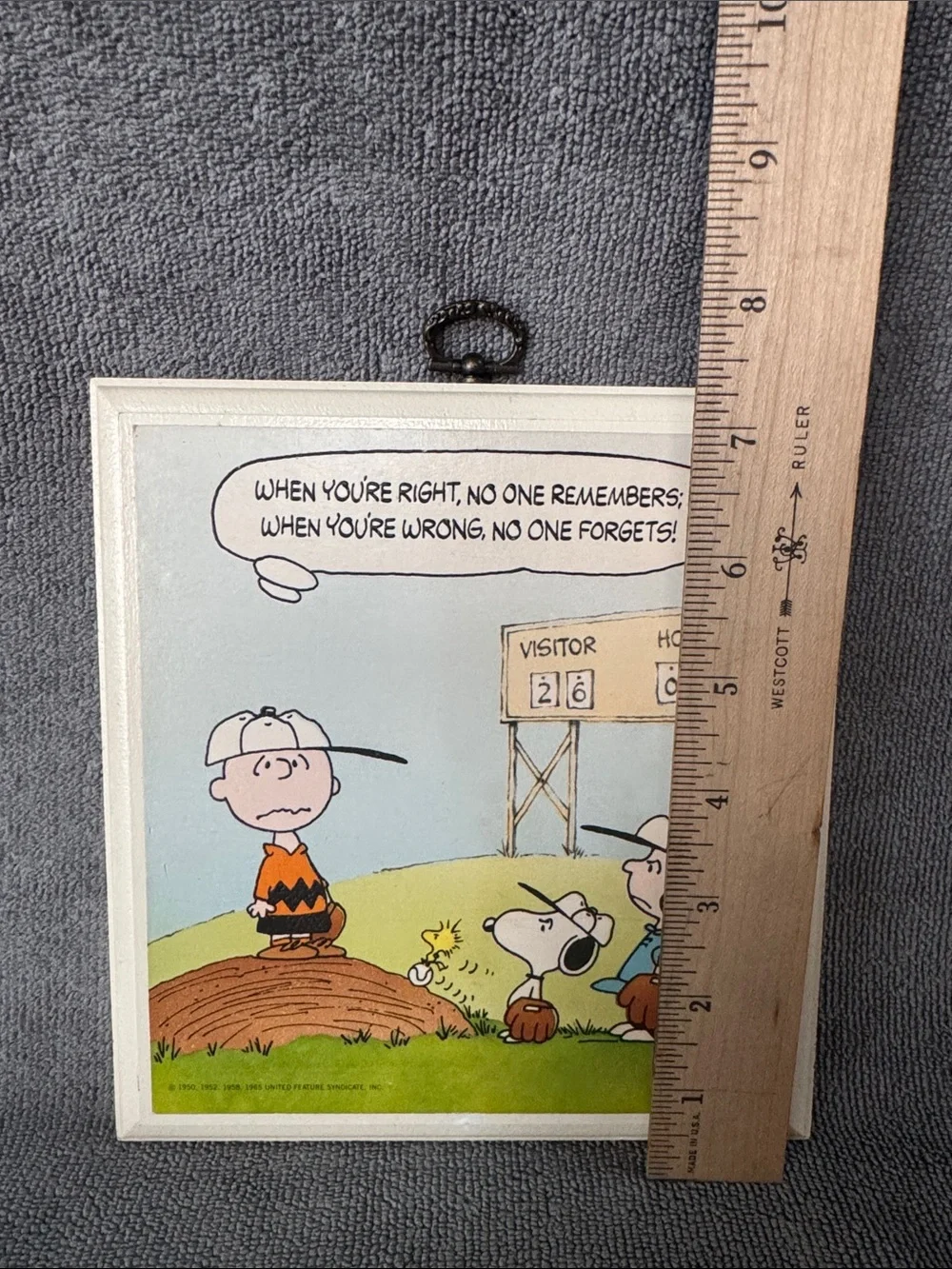 Peanuts Charlie Brown Baseball Wall Plaque - White Frame